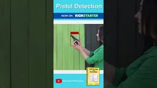 Pistol Detection on the Web