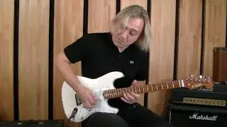 R.Grishin Custom Stratocaster - Guitar Review