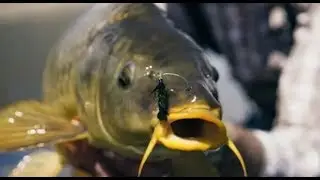 Awesome fishing small kids catching big fishing in the pond boys catch fish By using the hook