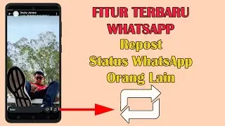 Cara Repost Status WhatsApp Orang Lain | Fitur Terbaru WhatsApp
