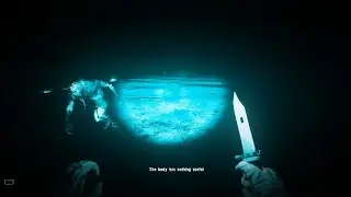 Stalker Anomaly at night is hell