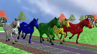 African Zebra Race in Rainy Day | Zebra Racing - Roar Race