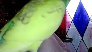 видео1