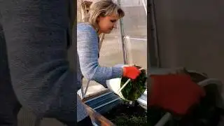 Мы думали будет легко иметь дачу 😁. 