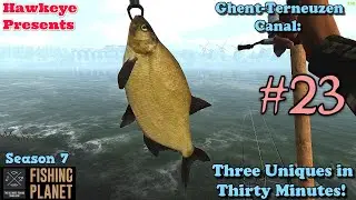 Fishing Planet #23 - S7 | Ghent-Terneuzen Canal: Three Uniques in Thirty Minutes!