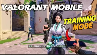 *Leaked Valorant Mobile Training Mode
