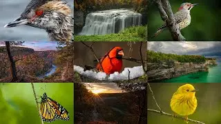 FREE Photography for Beginners Course