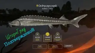 Р.Ахтуба Трофейный Русский Осётр