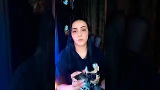 ЧТО ЖДАТЬ ОТ ВОЗЛЮБЛЕННОГО? 