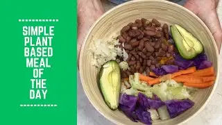 Balanced Plant Based Bowls for Beginners