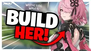 TAOQI is AMAZING | Wuthering Waves CRASH COURSE (Taoqi Best Build, Weapons, Echoes, Team, etc.)