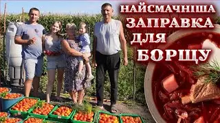 🇺🇦Урожай помідорів і овочів🍅 Або РЕЦЕПТ заправки до БОРЩУ на весь РІК!