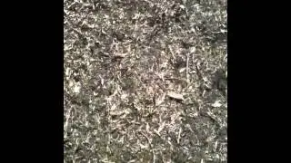 Stihl BR 600 Magnum Backpack Blower vs. Horse Poop
