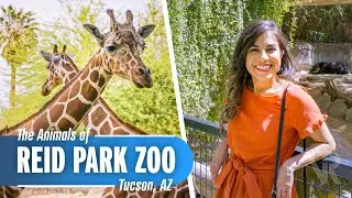 A Day at Reid Park Zoo in Tucson, AZ!