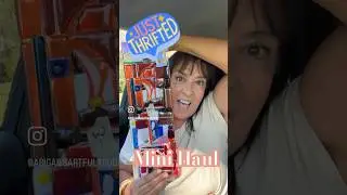Thriftapalooza video is now out but here's a mini Thrift Haul to get you in the mood! #thrifthaul