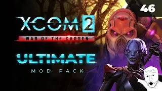 Подарок от Ассасина?   |  XCOM 2 LWOTC Ultimate. Полное прохождение - 46