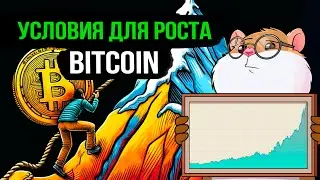 Когда будет рост по Bitcoin? Что с альтами? Обзор рынка
