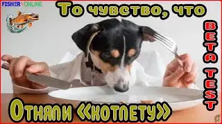 Fisher Online  /  К чему приведёт новая механика!? (BETA TEST)  /  Общение