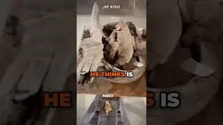 The Most Valuable Piece Of Land