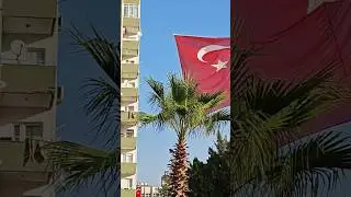 Почему звучит сирена в Турции 10 ноября в 