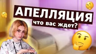 все про апелляцию -- как повысить баллы ЕГЭ?