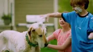 BTS   Barbasol   Close Shave America