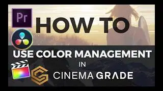 How to use color management in Cinema Grade