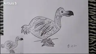 Как нарисовать птицу ДОДО