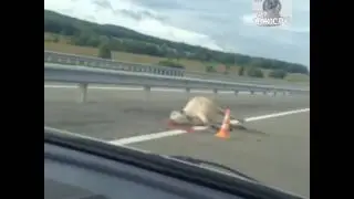 ДТП Уссурийск-ляличи