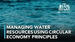 Navigating circular economy