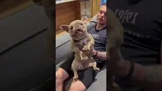 Кто хочет такую же пельменницу всего за пол миллиона🍋