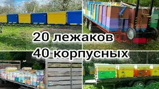 УВИДЕЛ ПЛАТФОРМУ И ОФИГЕЛ. ЛЕСНОЙ ТОЧОК. BEEKEEPING. ПЧЕЛОВОДСТВО.