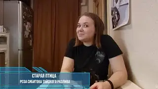 Как живется тайским мальчикам и их любовям