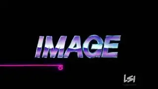 Image Organization (1992)