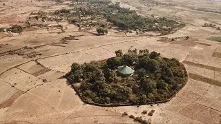 The Incredible Church Forests of Ethiopia