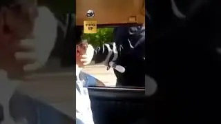 Легендарный МОМЕНТ - ГАИШНИК НЕ ВЫДЕРЖАЛ 