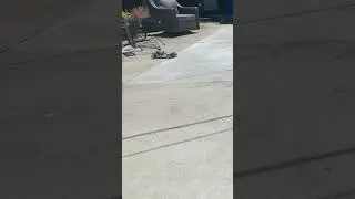 Hpi nitro rs4-3 drift car