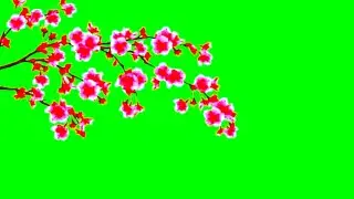Flowers falling Green screen effects How to use chroma key