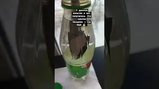 Необычный нож