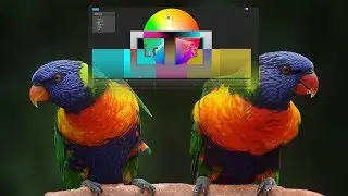 Photoshop ile Renk Nasıl Oluşur