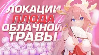 ЛОКАЦИИ ВСЕХ ПЛОДОВ ОБЛАЧНОЙ ТРАВЫ В ГЕНШИН ИМПАКТЕ! - Genshin Impact