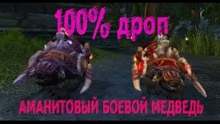 WoW прохождение ЗУЛ'АМАН выбиваем АМАНИЙСКИЙ БОЕВОЙ МЕДВЕДЬ!