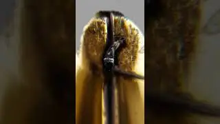 Fountain pen loop adventure 