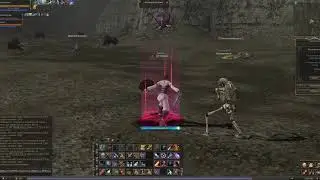 Некр в Стене Аргоса. Дао Бомжа от Салладорца. [Lineage 2 Classic]