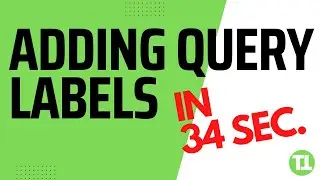 Adding Query Labels Explained in 33 Seconds 🤯 Google Sheets Excel 