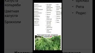 Крестоцветные для похудения