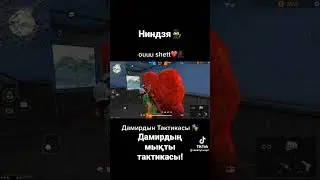 Дамир тактика 