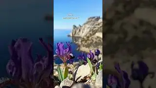 Море цветов, все не пересчитать! большинство показываю 