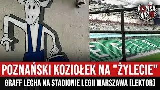 Poznański Koziołek na 