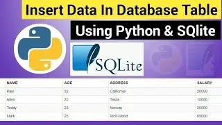 Inserting Data into Table | Python SQLite Tutorial | Insert Data into Database Table using Python
